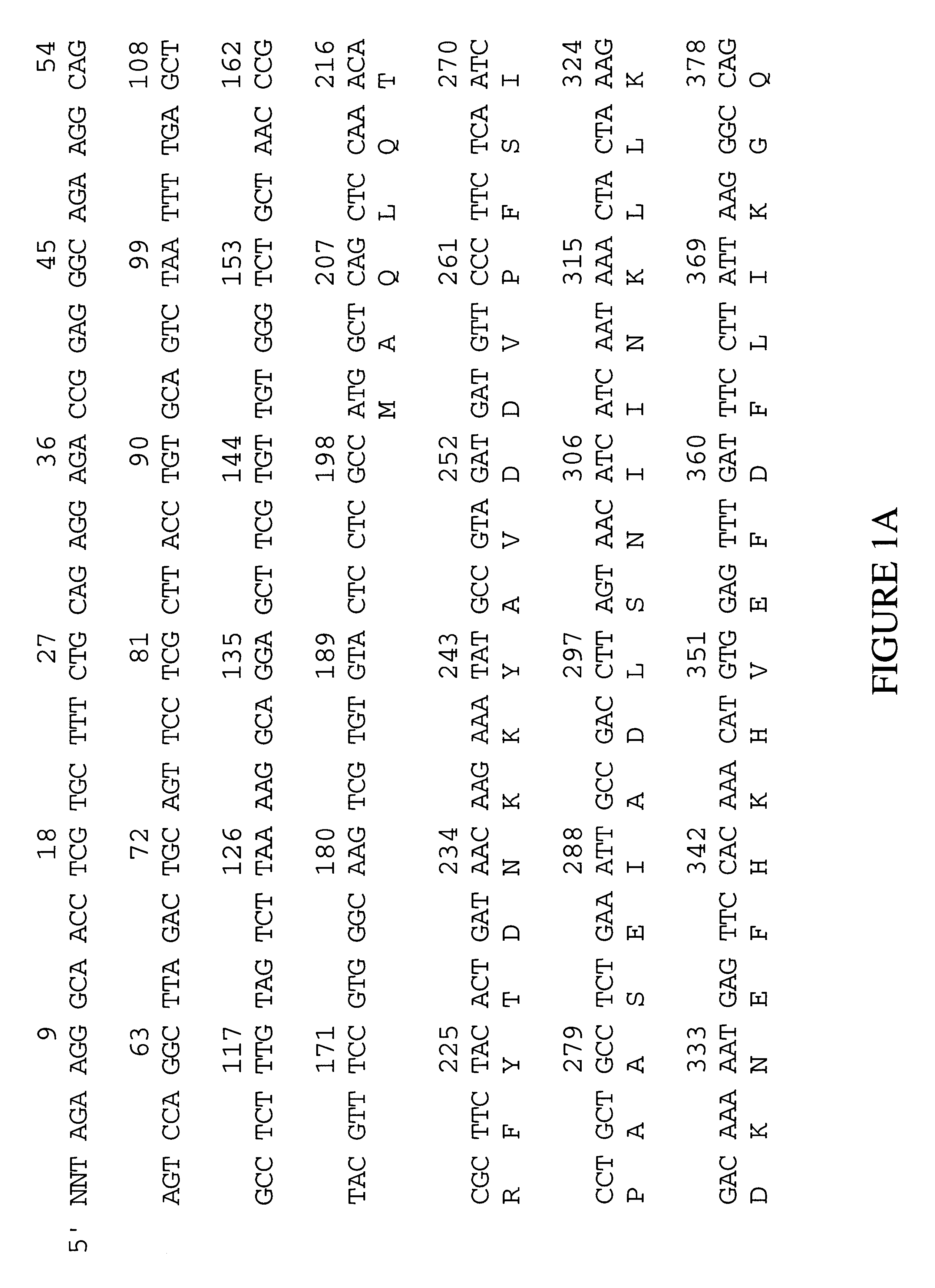 Microtubule-associated protein