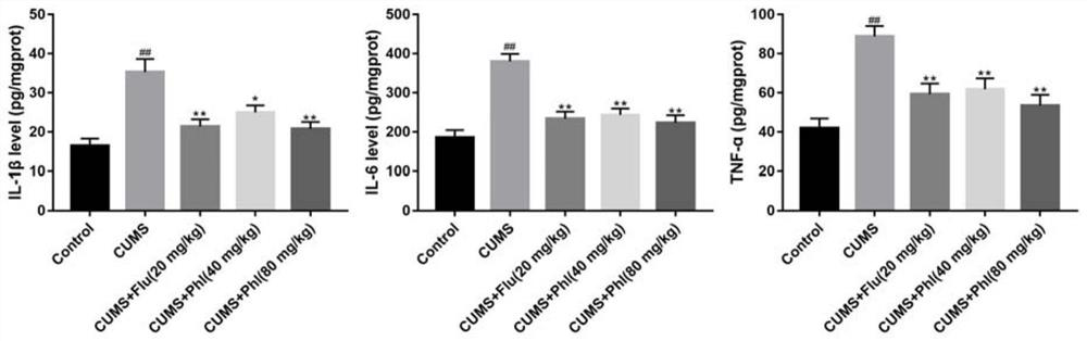 Application of phloretin in preparation of antidepressant drug