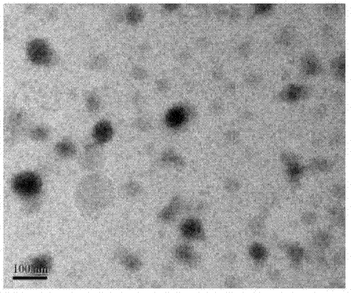 Hydrophobic drug containing polyelectrolyte complex, its preparation method and application thereof