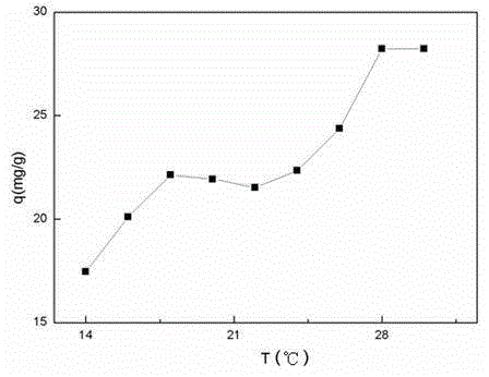 Trichoderma aureoviride particle adsorbent for treating uranium-bearing wastewater as well as preparation method and application of absorbent