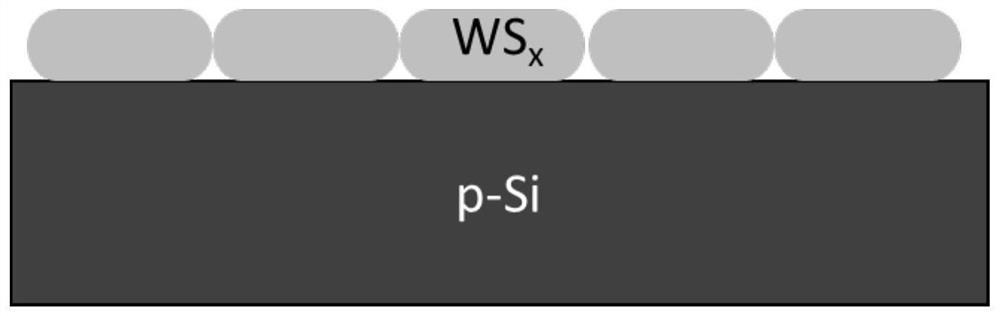 A silicon photocathode modified with tungsten sulfide nanoparticles and its preparation method