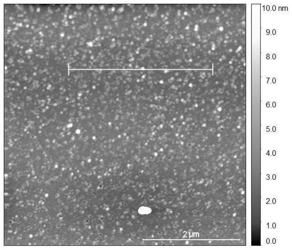 A silicon photocathode modified with tungsten sulfide nanoparticles and its preparation method