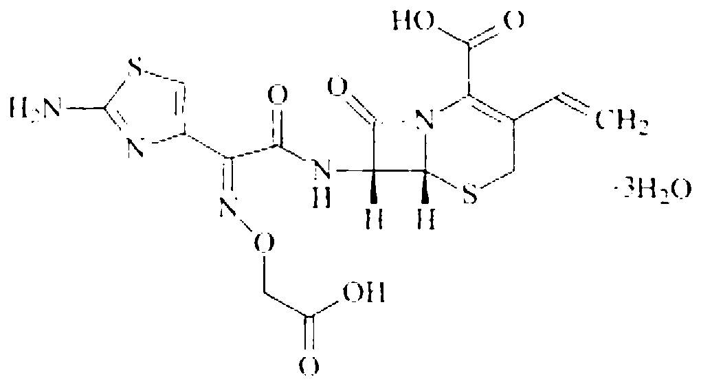 Cefixime dry suspension and preparation method thereof