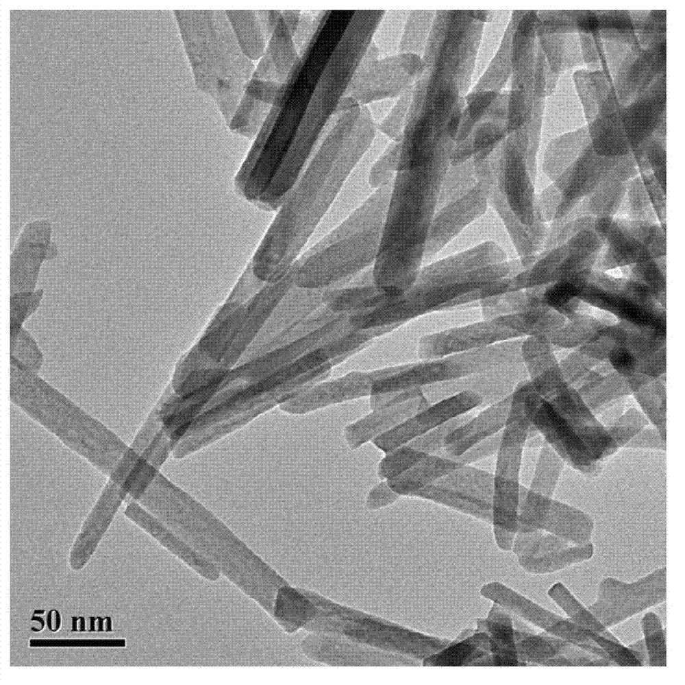 FexOy-based inorganic nanocomposite and preparation method thereof