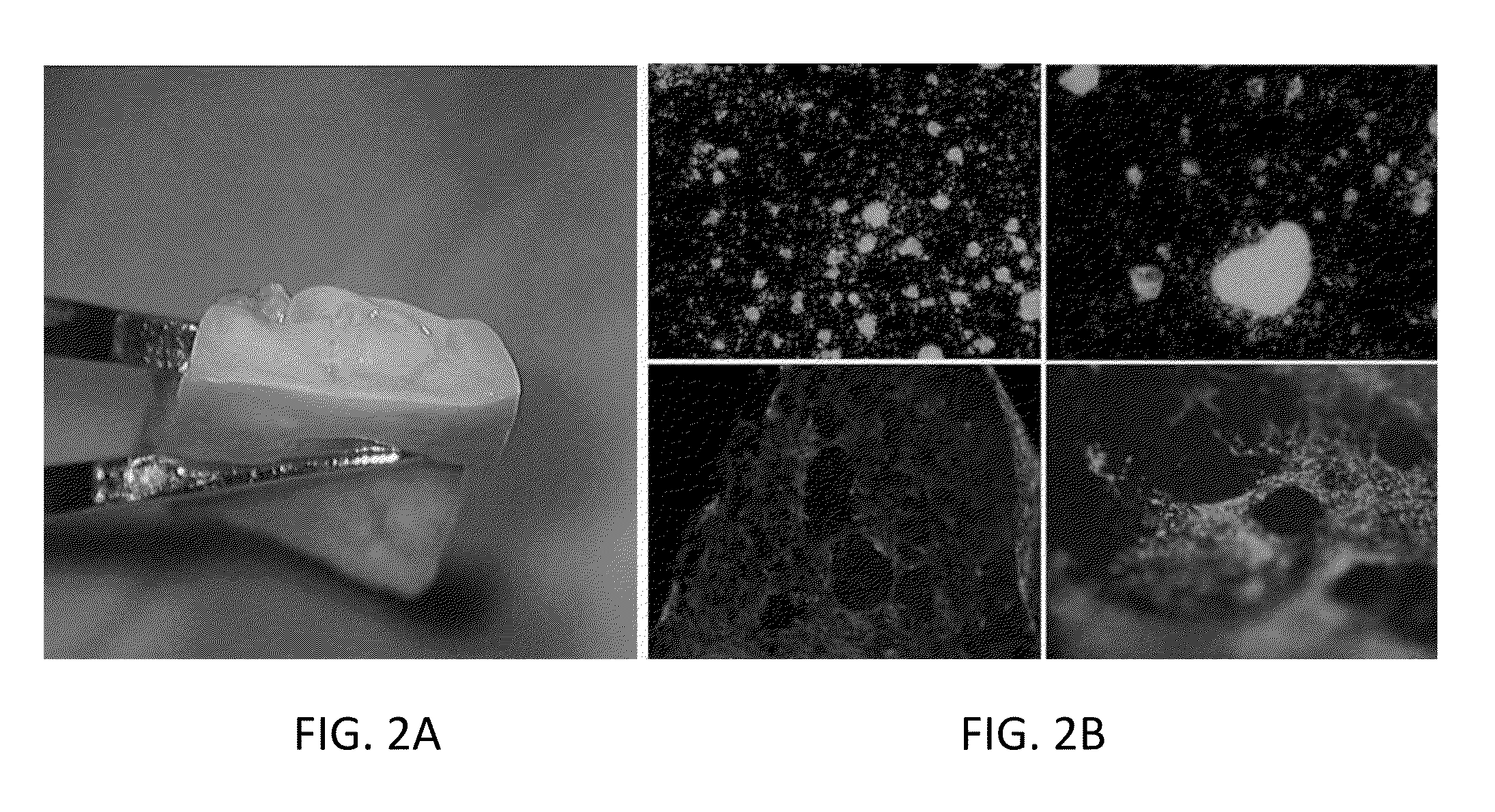 Methods for Development and Use of Minimally Polarized Function Cell Micro-Aggregate Units in Tissue Applications Using LGR4, LGR5 and LGR6 Expressing Epithelial Stem Cells