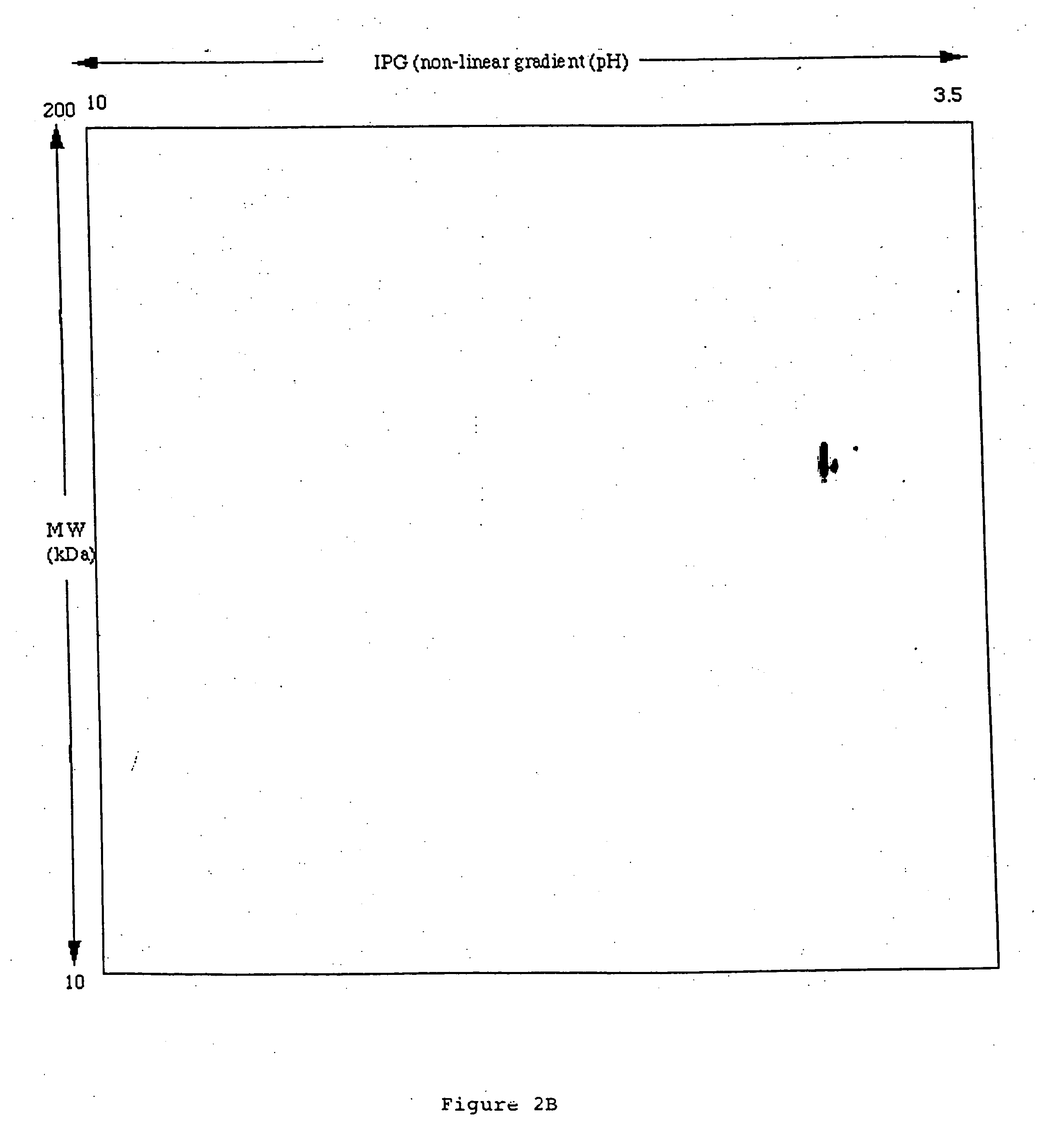 Specific binding molecules for scintigraphy, conjugates containing them and therapeutic method for treatment of angiogenesis