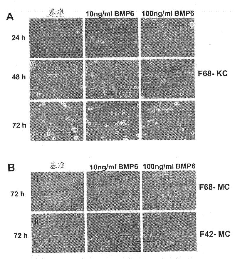 Compositions and methods for modulating skin pigmentation