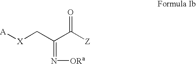 Pyruvate derivatives