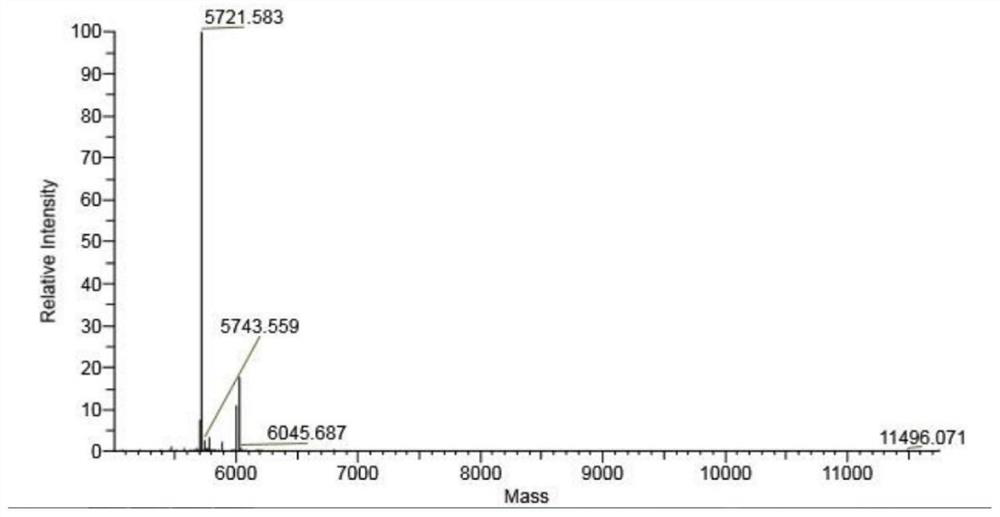 Enzyme digestion conversion method of recombinant human insulin precursor