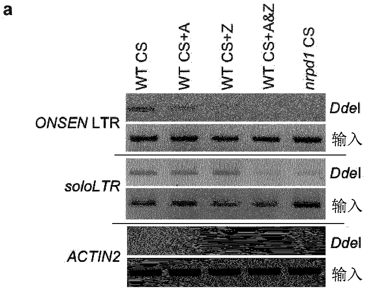 Mobilisation of transposable elements to enhance genetic and epigenetic variability in population