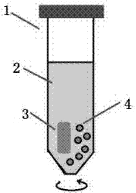 High performance liquid chromatography assay method for formaldehyde and acetaldehyde in cigarette filter bead