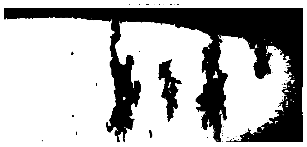 Online wear particle image data processing method