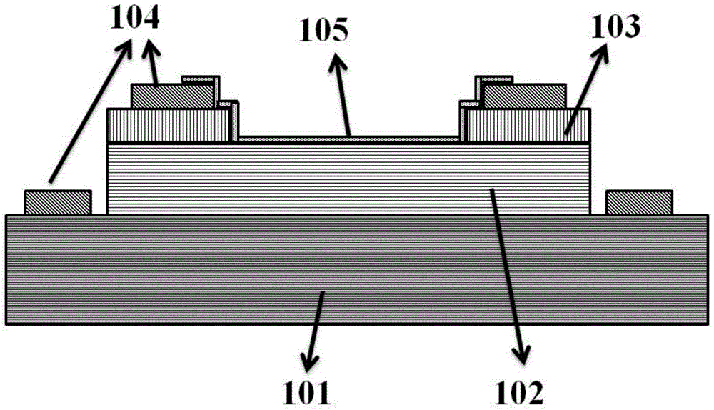 High detection rate GaN-based Schottky ultraviolet detector using graphene