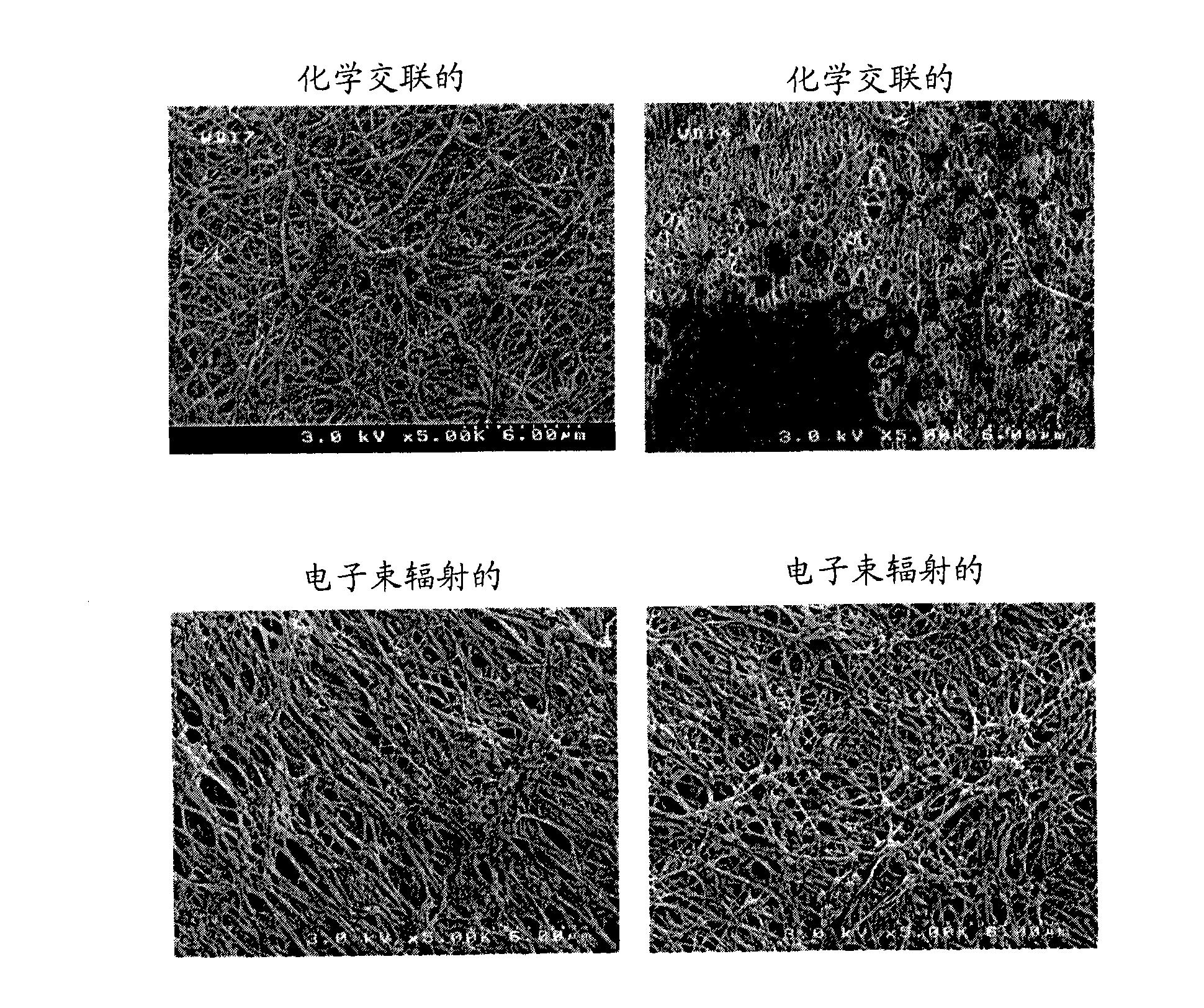 Processes for forming a permanent hydrophilic surface on a porous membrane