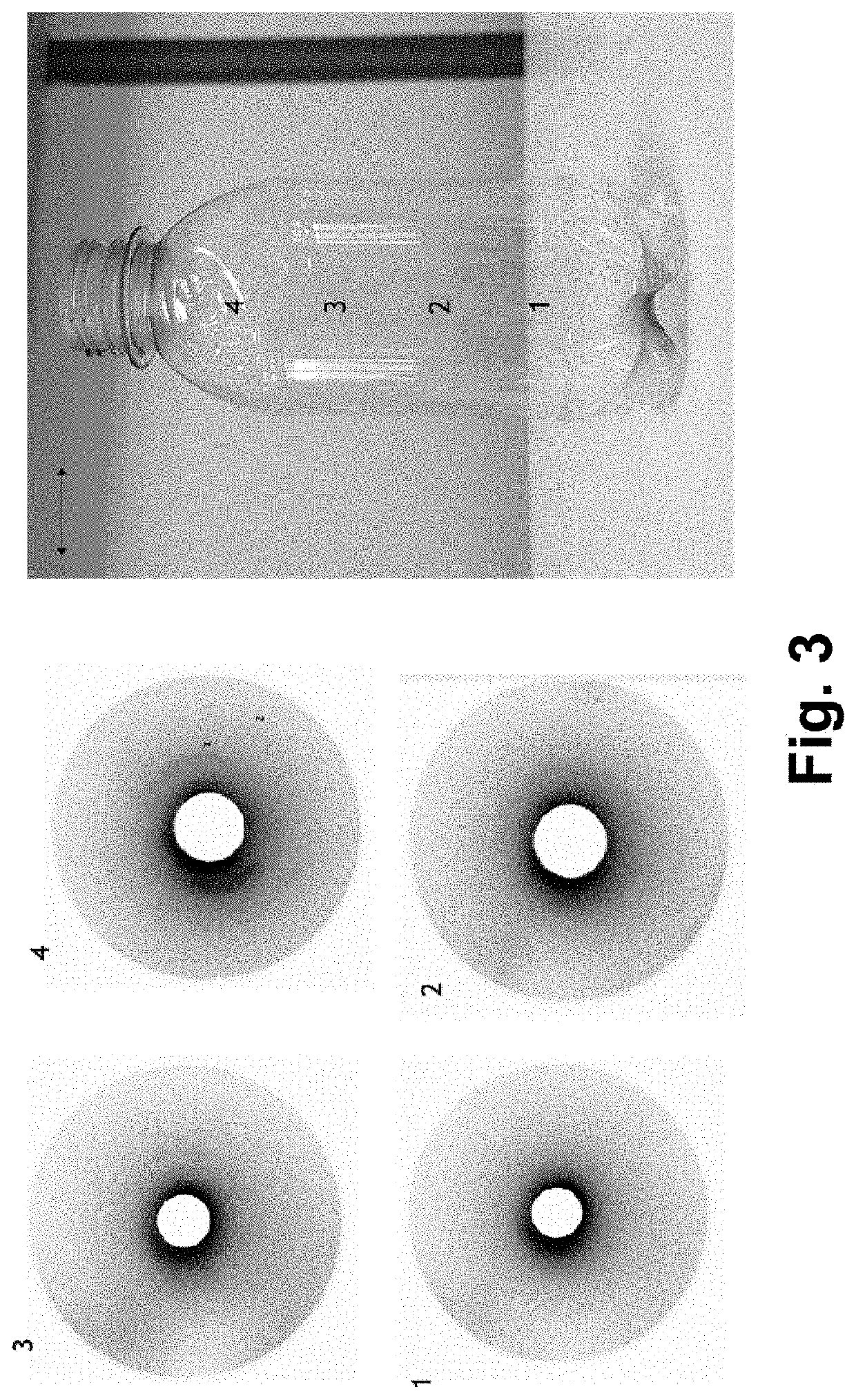 Method for fabricating a container and the container