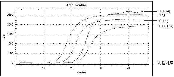 Universal probe technology based fluorescent quantitation PCR (Polymerase Chain Reaction) method