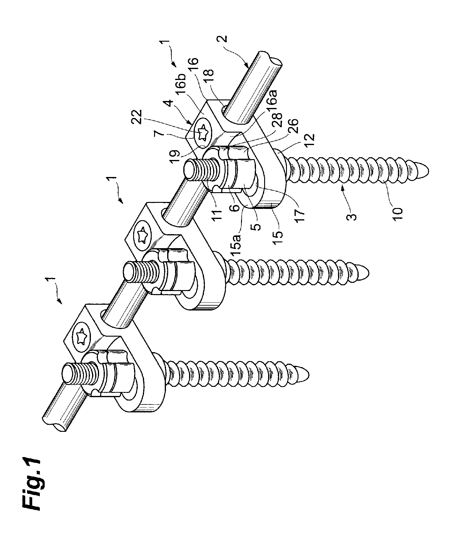 Vertebra connection member and nut driver