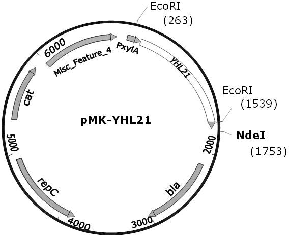 High-temperature polyphenol oxidase and application thereof in phenol-containing wastewater treatment