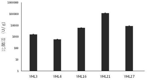 High-temperature polyphenol oxidase and application thereof in phenol-containing wastewater treatment