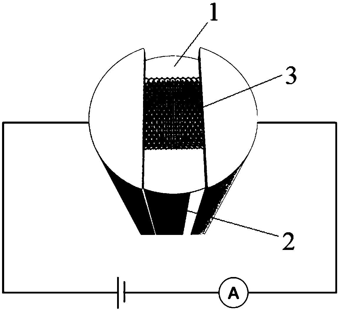 Photodetector based on Van der Waals heterojunction and preparation method thereof