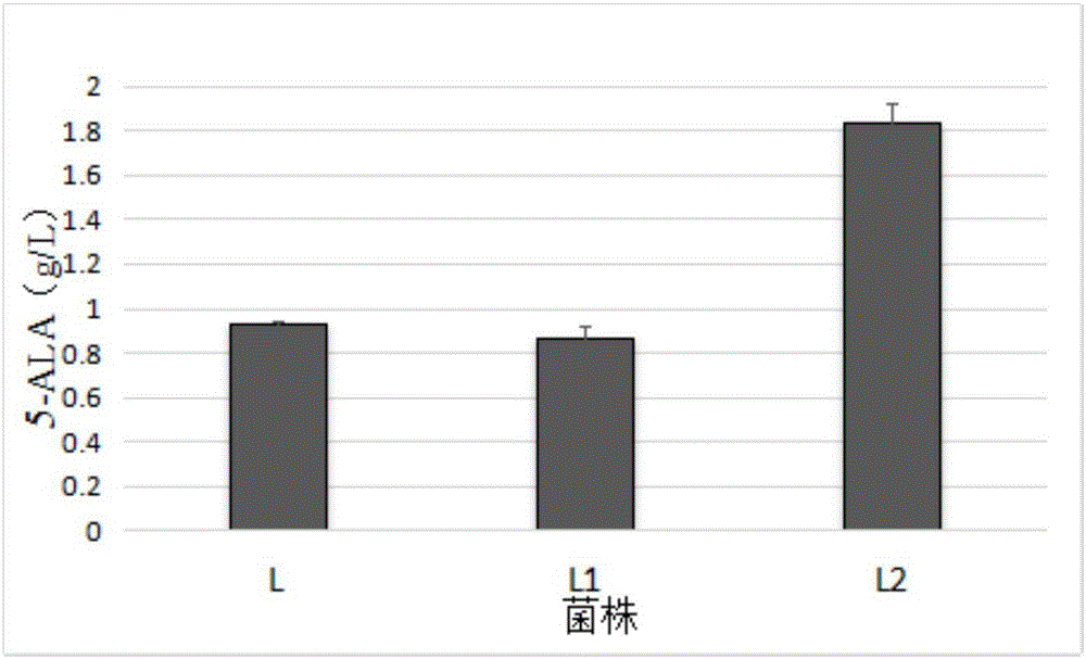 Corynebacterium glutamicum recombinant strain for producing 5-aminolevulinic acid