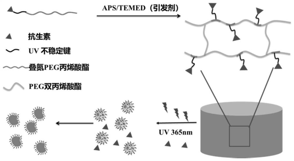 A kind of photosensitive polyethylene glycol-based antibacterial hydrogel dressing and preparation method thereof