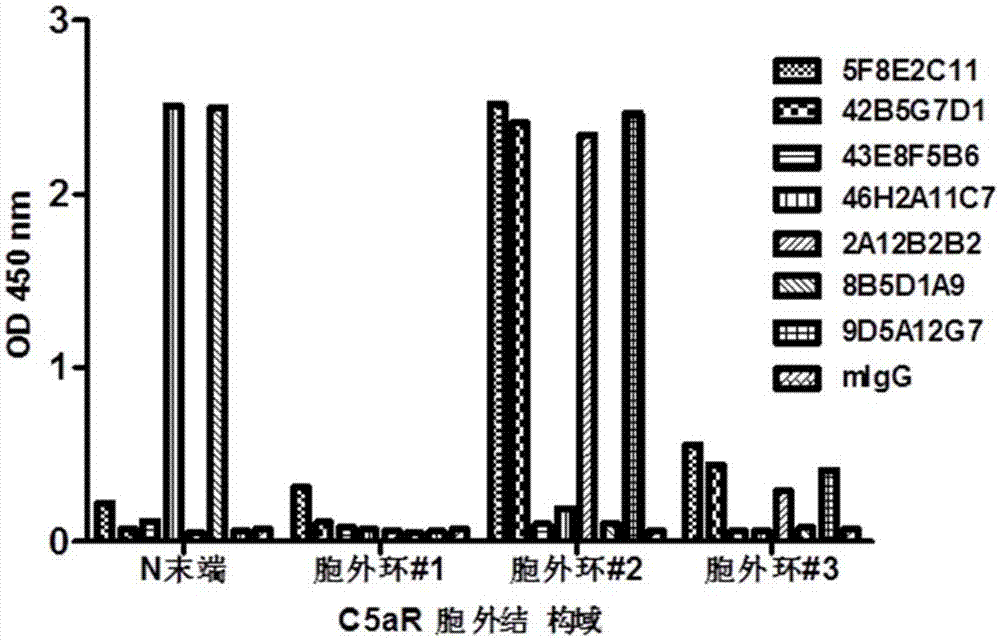 C5aR antibody, preparation method and application thereof