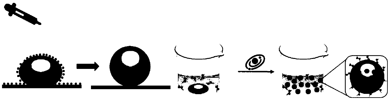 Multifunctional liquid metal embolizing agent as well as preparation and application thereof