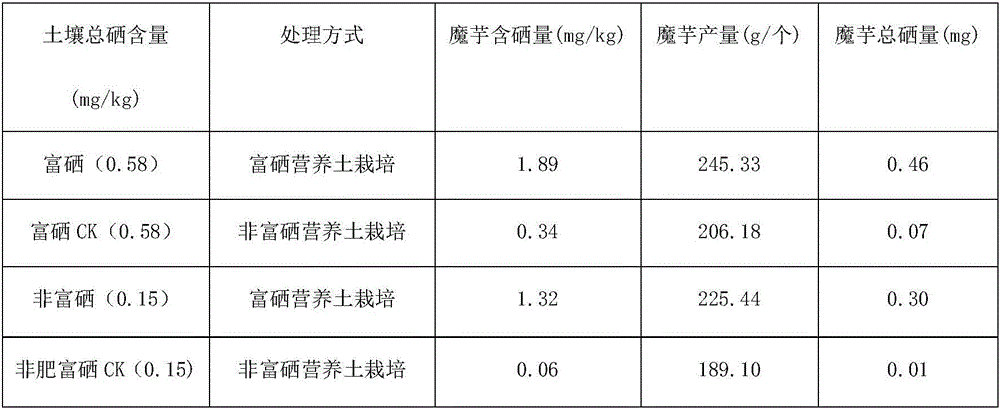 Method for producing selenium-enriched konjak by using selenium-enriched pelleted seed konjak