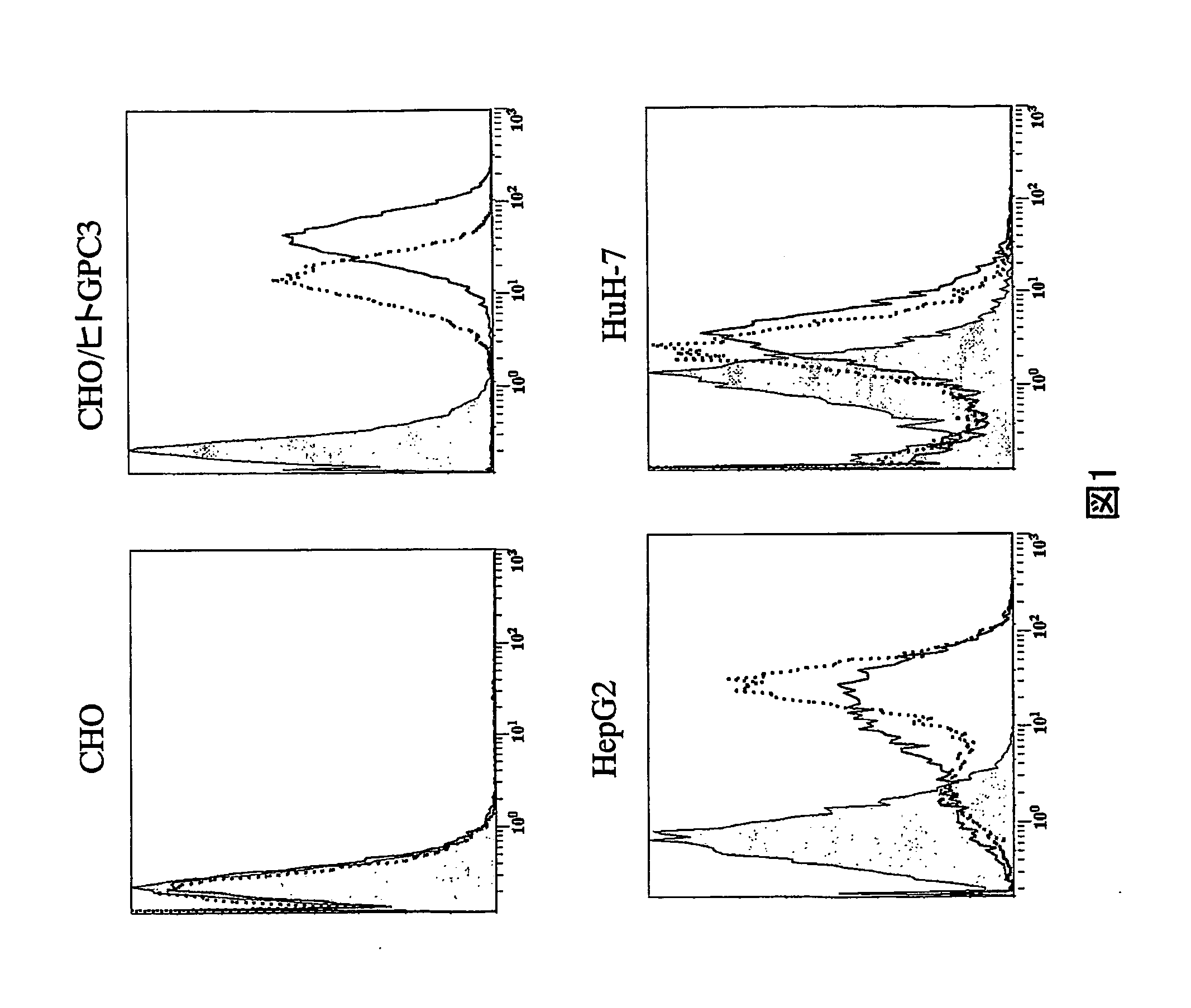 Anti-glypican 3 antibody