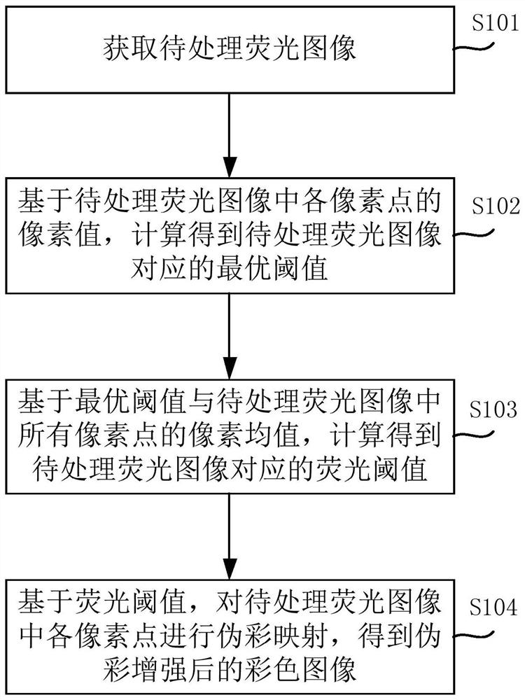 Fluorescent image pseudo-color enhancement method, device and equipment and storage medium