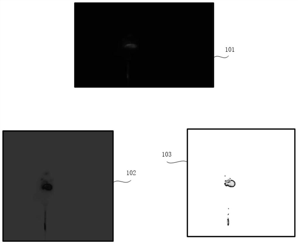 Fluorescent image pseudo-color enhancement method, device and equipment and storage medium