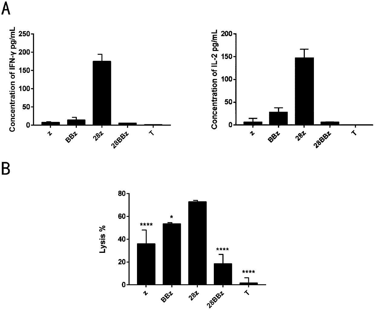 Modified T cell and preparation method and application thereof