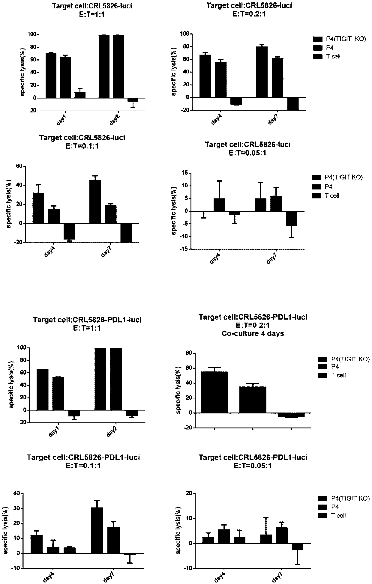 Modified T cell and preparation method and application thereof