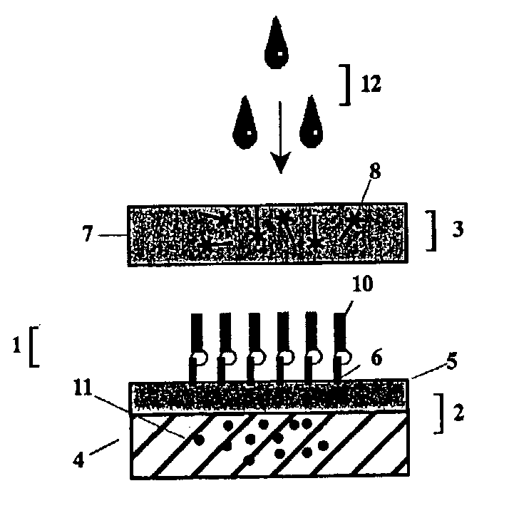 Rapid vaccinia antibody detection device, method and test kit