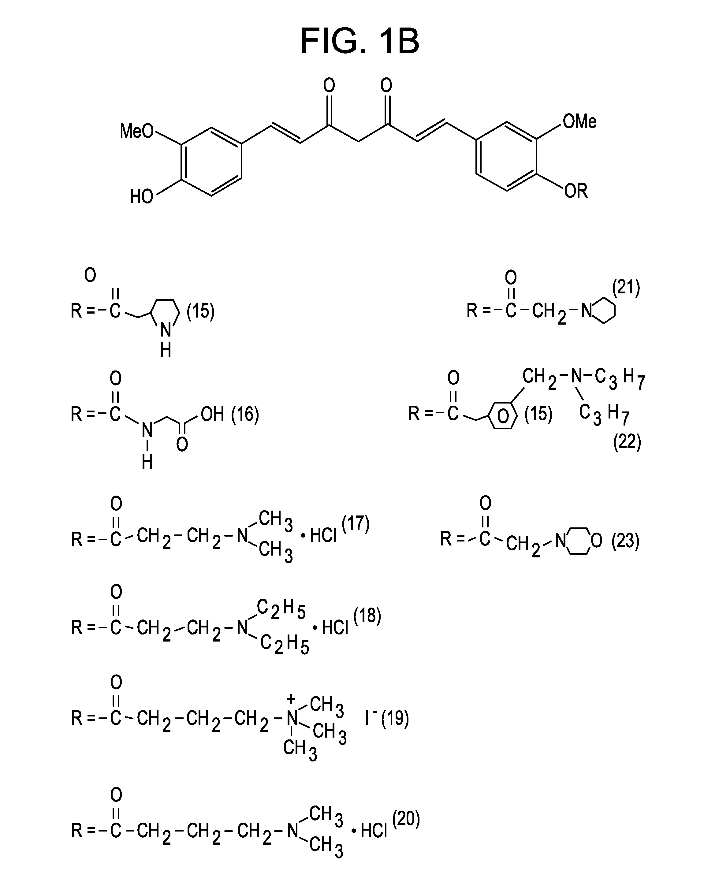 Pharmaceutical composition comprising a curcumin derivative