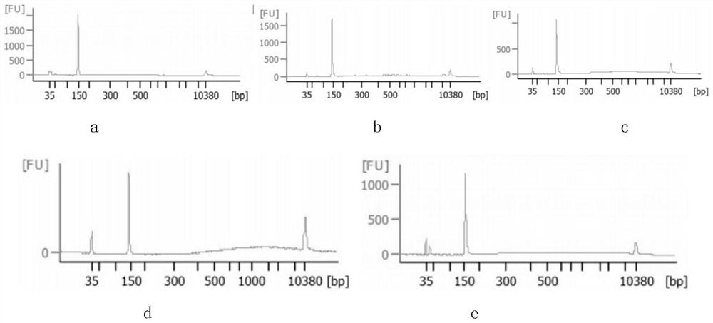 Method for eliminating self-connector of sequencing library and application