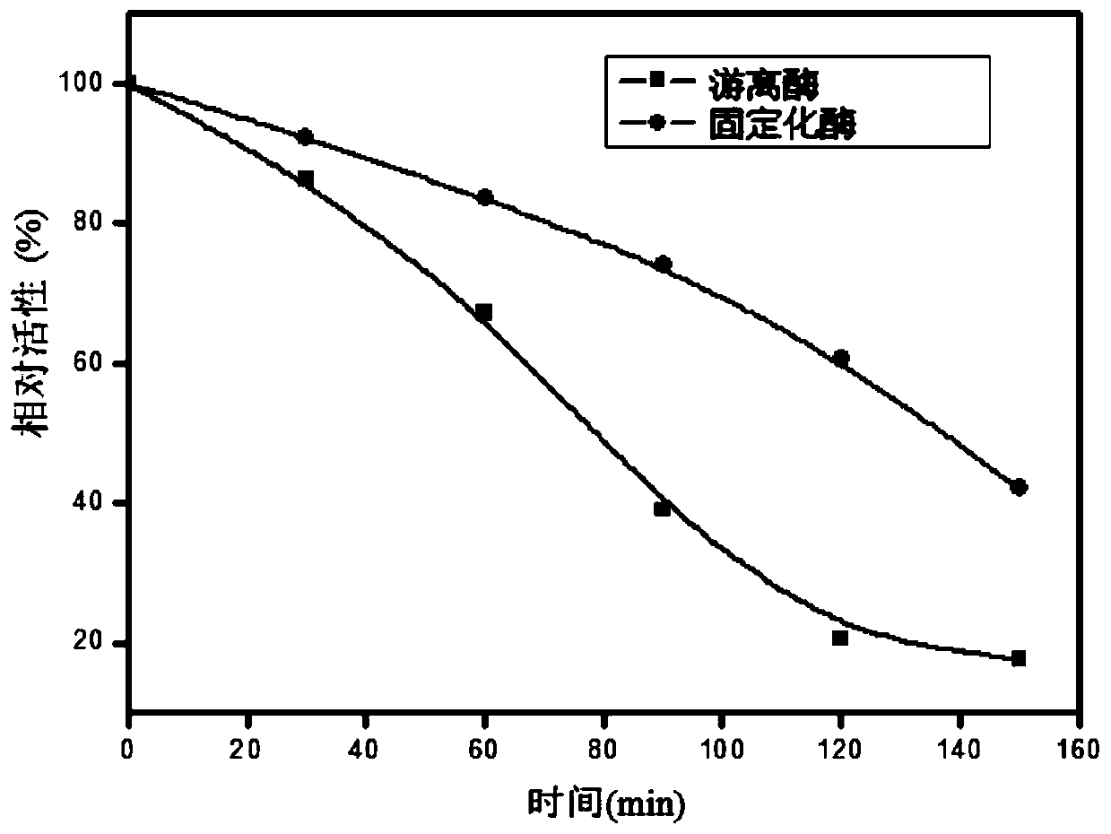 Immobilized enzyme and preparation method thereof