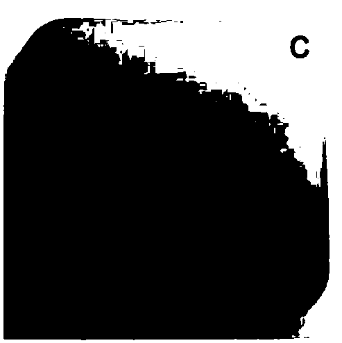 Preparation of intermediate-temperature graphene/silver composite conductive slurry and application thereof