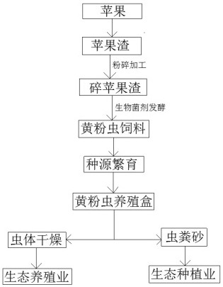 Apple pomace conversion treatment method