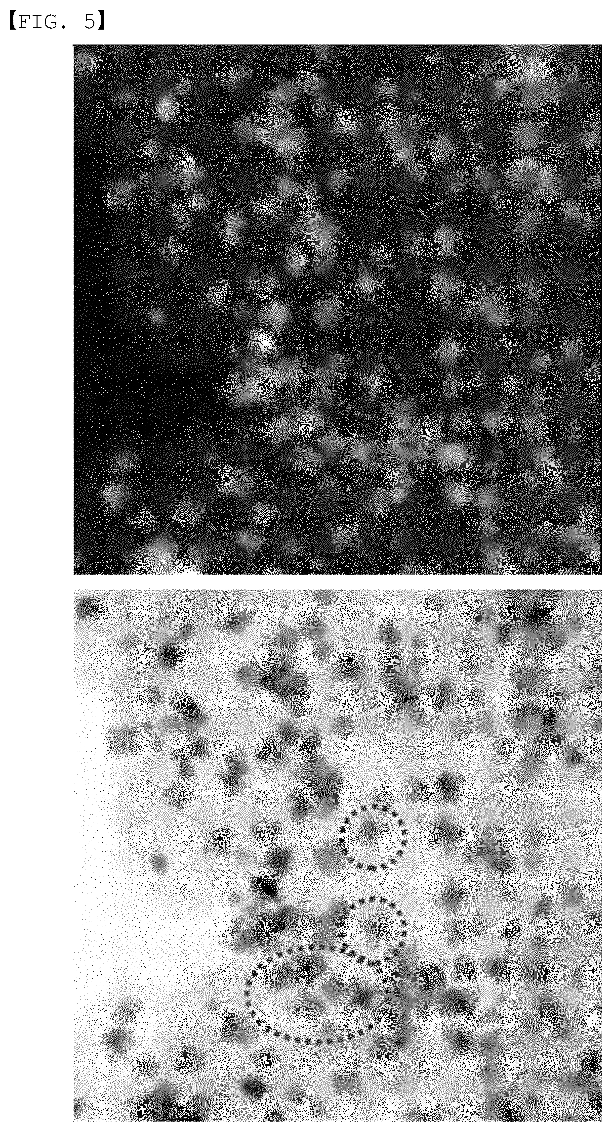 Catalyst and method for preparing the same