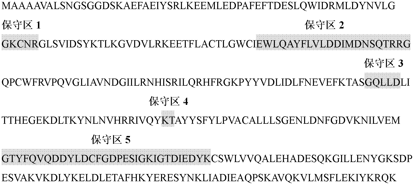 Triticum aestivum farnesyl phosphate synthase (TaFPS) gene as well as isolation colonizing and enzyme activity measuring method thereof