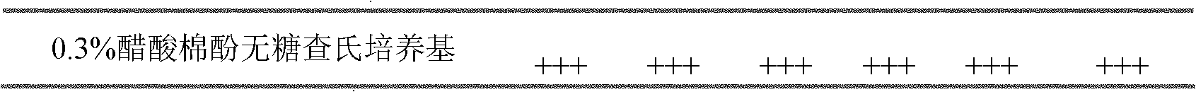 Gossypol acetate degradation bacteria S1