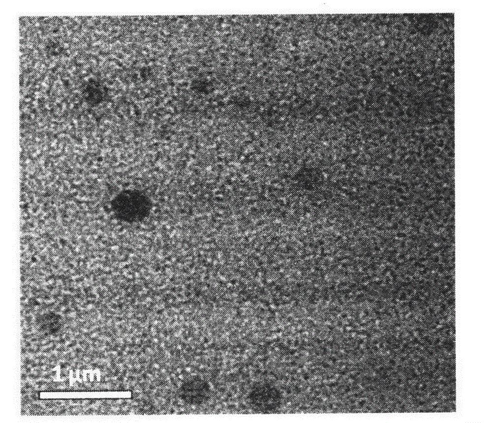 Near-infrared fluorescent nanoparticle in-vivo probe and preparation method thereof