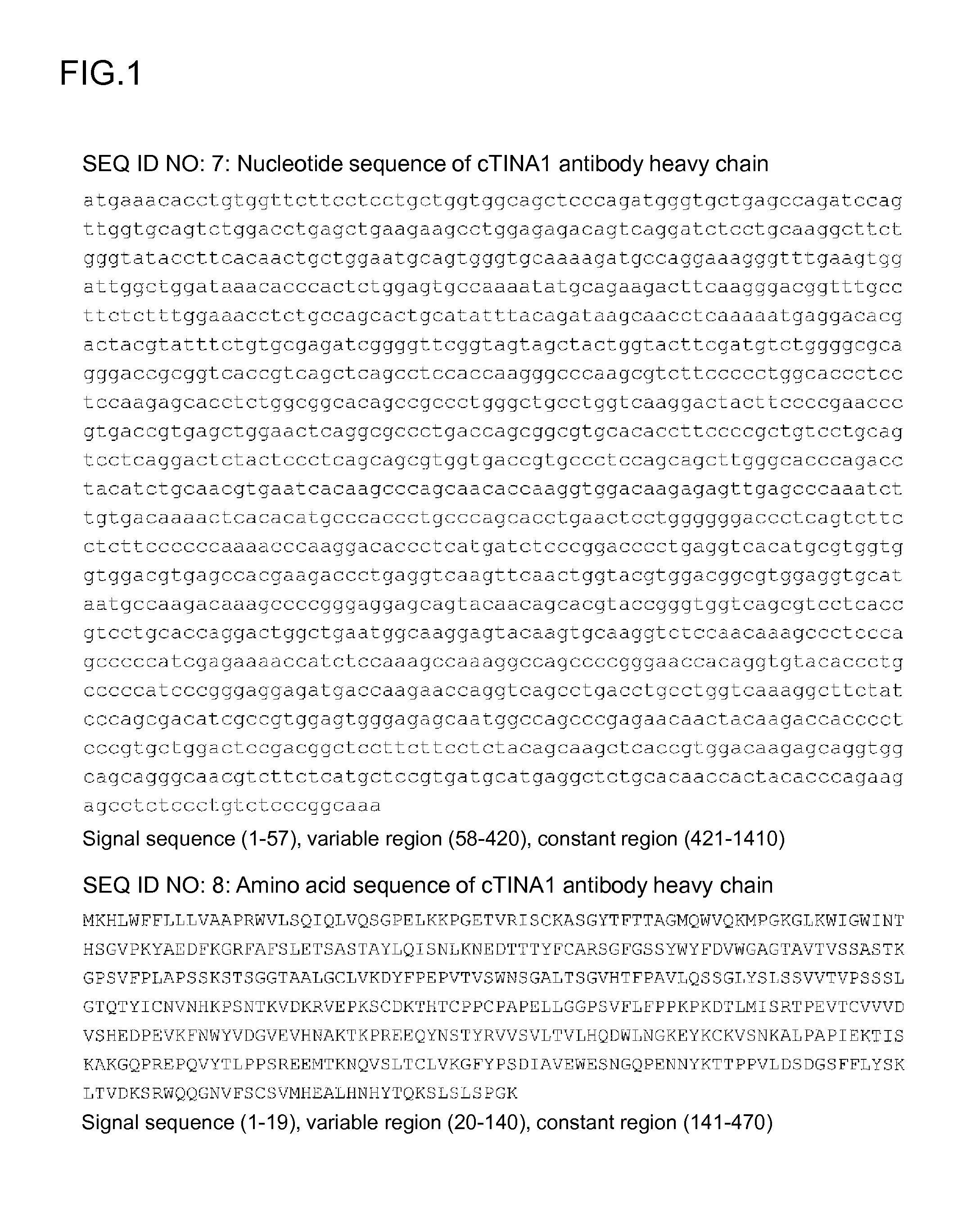 Anti-trop2 antibody-drug conjugate