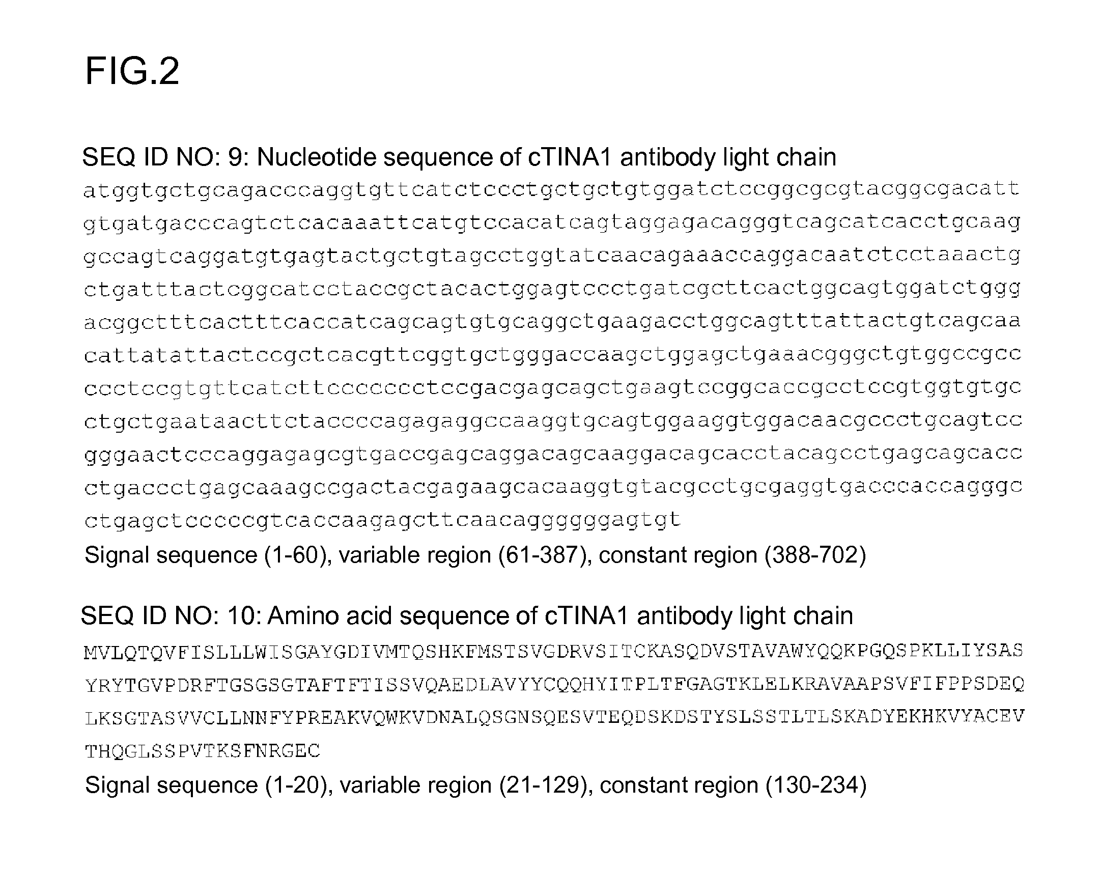 Anti-trop2 antibody-drug conjugate