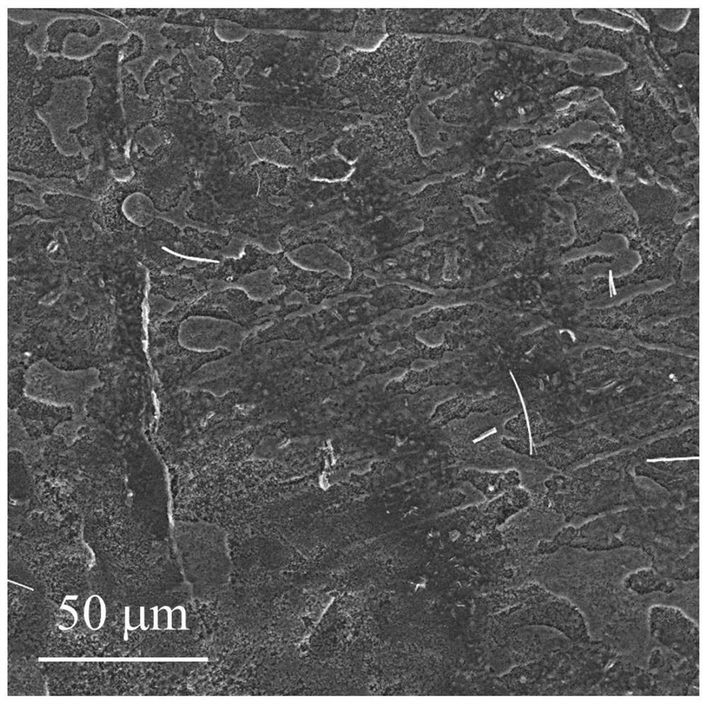 Self-supporting lithium metal anode and its preparation and application