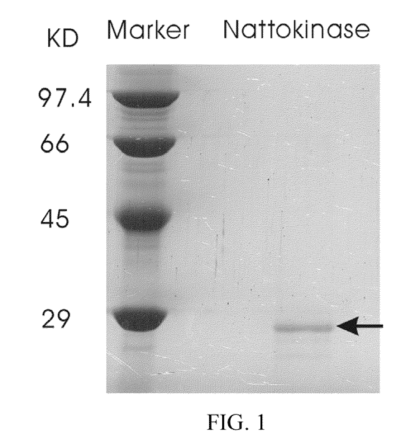 Nattokinase for degrading and reducing amyloid fibrils—associated with alzheimer's disease, prion diseases and other amyloidoses