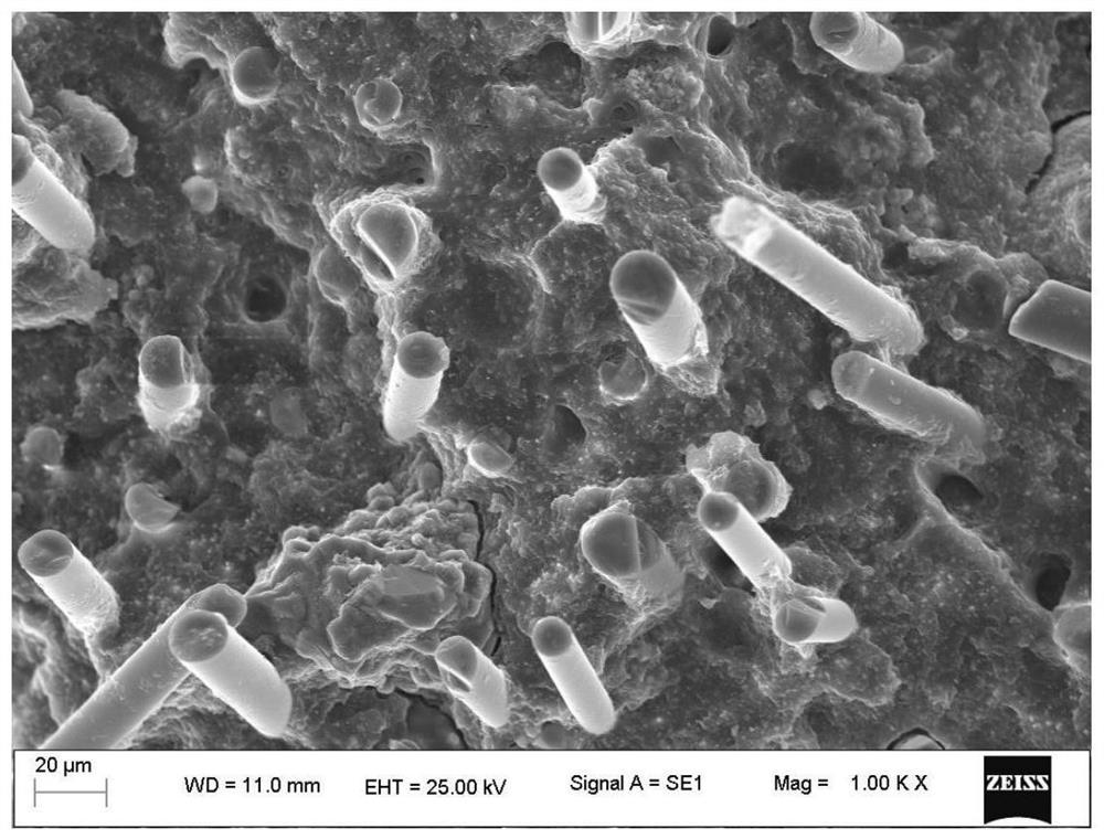 A kind of red phosphorus flame-retardant nylon composite material and its preparation method and the determination method of phosphorus precipitation amount in it