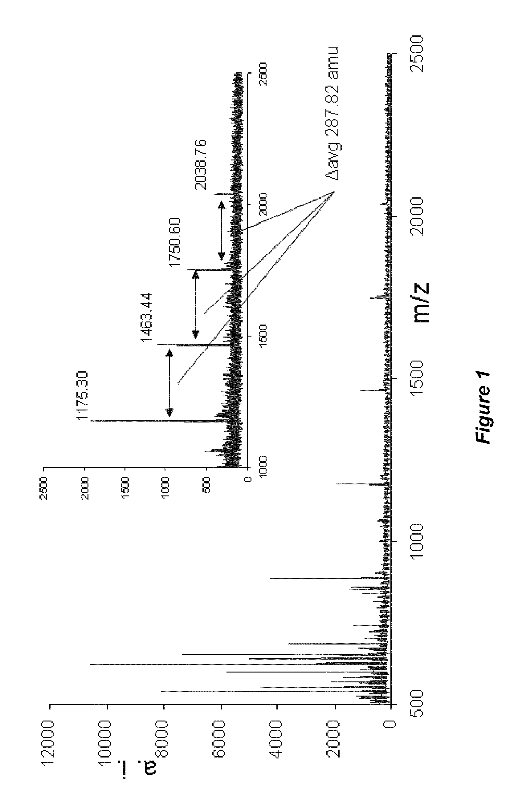 Tannin-chitosan composites